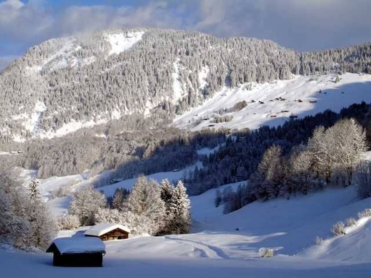 N Apartments Hotel **** - Ferienwohnung Diedamskopf in Schoppernau, Bregenzerwald