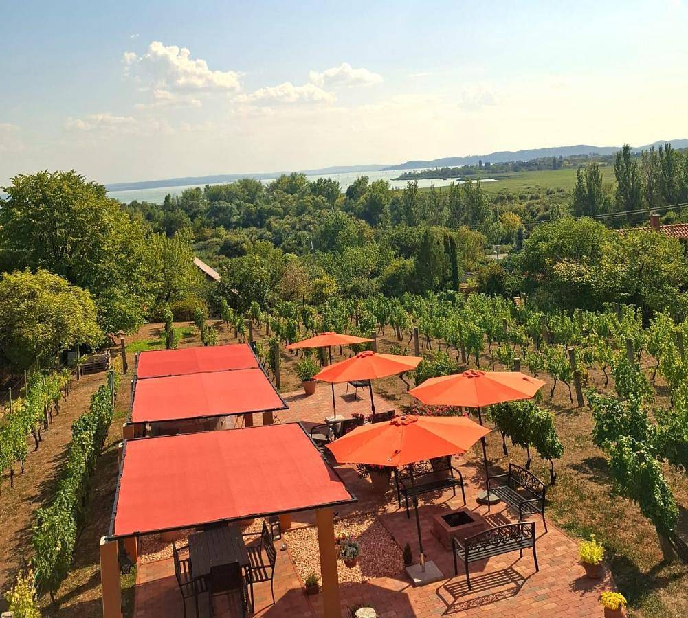Linczi Ház in Csopak, Balatonfüredi járás