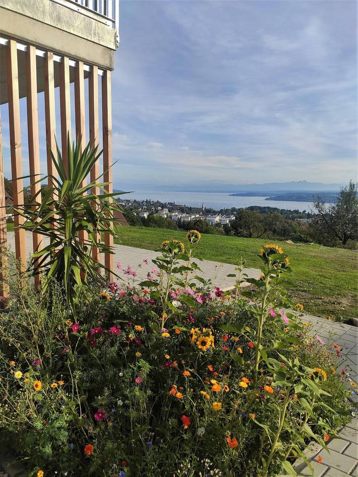 Ganze Ferienwohnung, Appartement in Überlingen, Region Bodensee-Oberschwaben