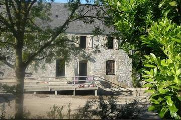 Gîte pour 8 personnes, avec jardin et balcon, animaux acceptés à Saint-Pierre-d'Arthéglise