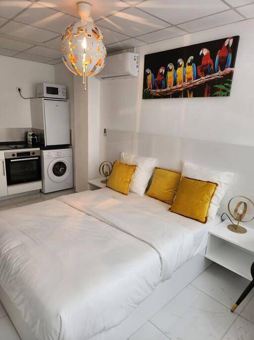 Gîte pour 2 personnes à Saint-Laurent-du-Maroni - 2