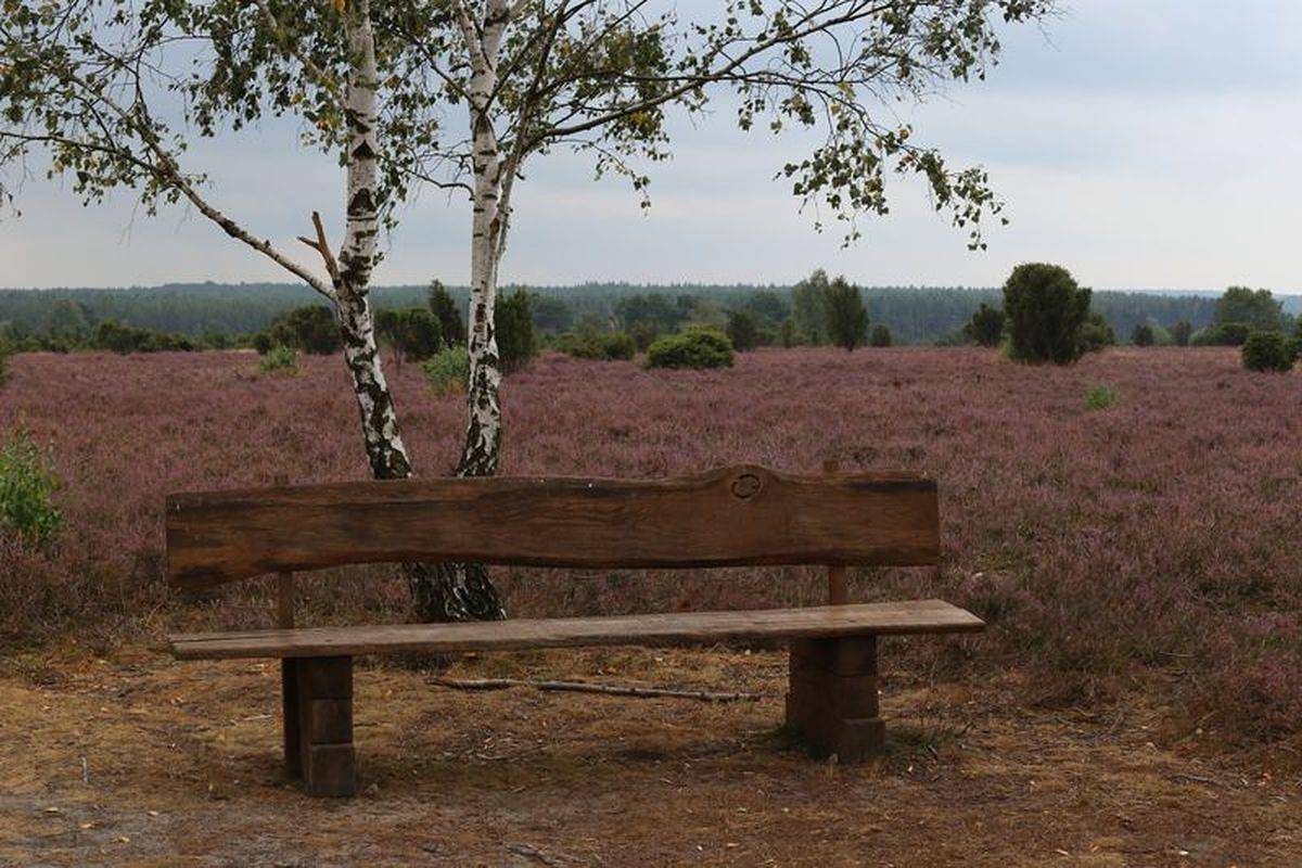 Ganze Ferienwohnung, Ferienwohnung Heide-Shakti in Hermannsburg, Naturpark Südheide