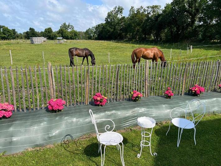 Location de vacances pour 10 personnes, avec vue et jardin à Hauteville-sur-Mer - 2