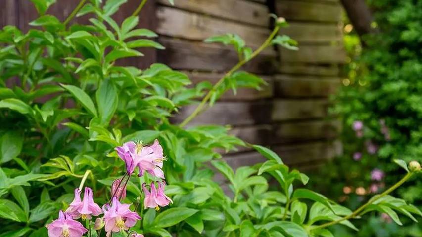 Ferienwohnung für 3 Personen, mit Garten in Güstrow - 2