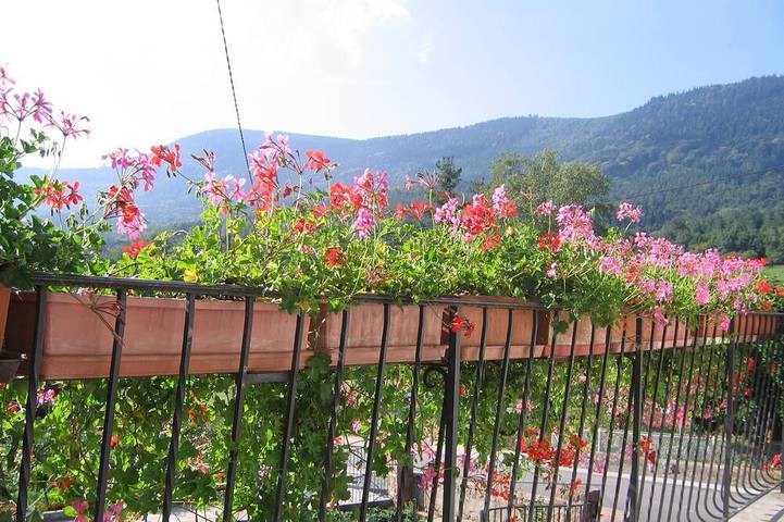 Gîte pour 6 personnes, avec Terrasse