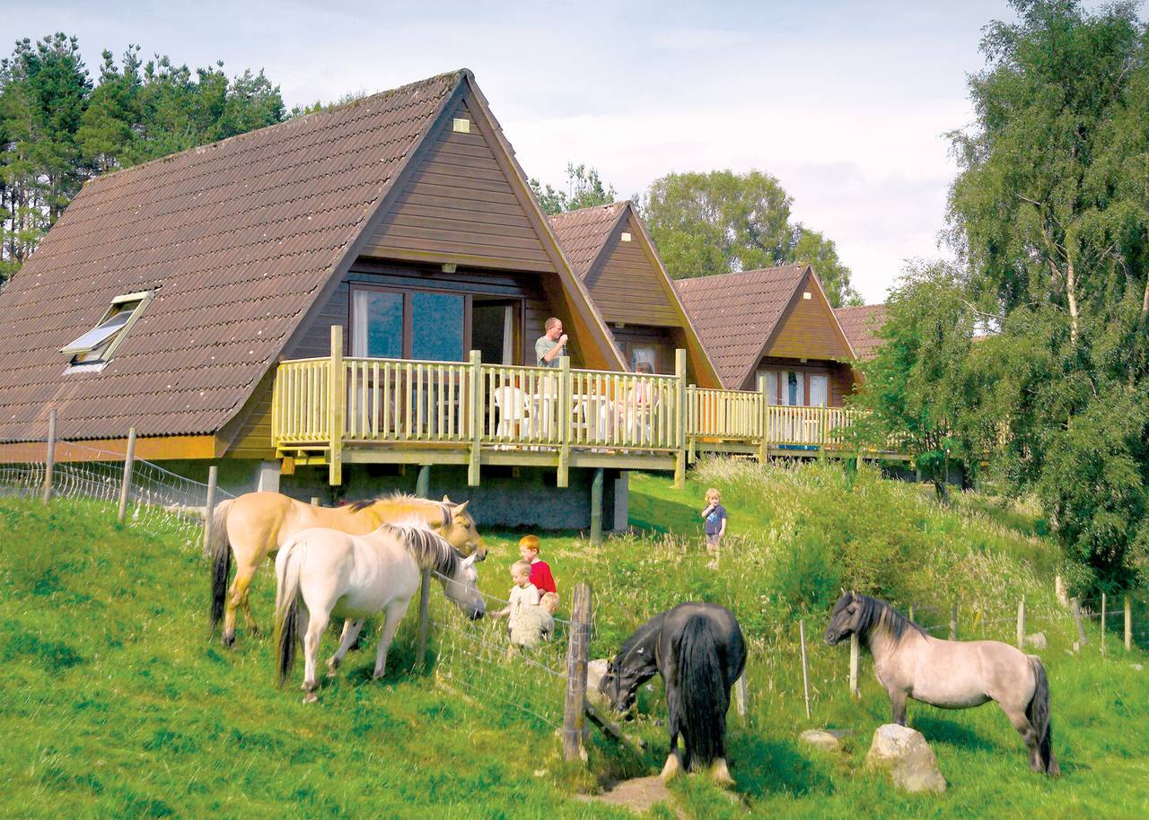 Delny Highland Lodge in Highlands