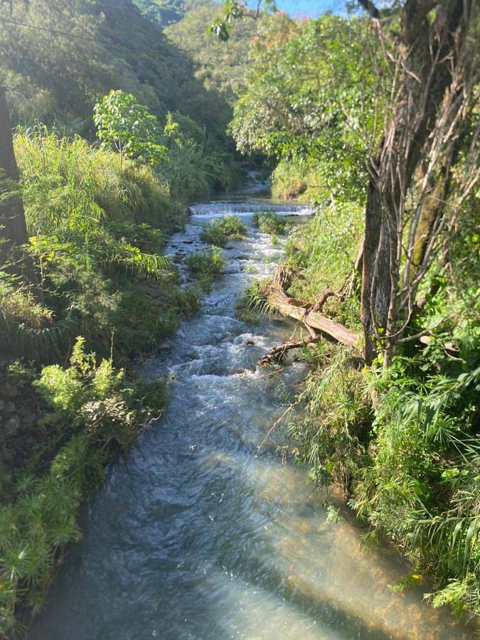 Lodge pour 3 personnes, avec vue et terrasse, animaux acceptés En Nouvelle-Calédonie - 2