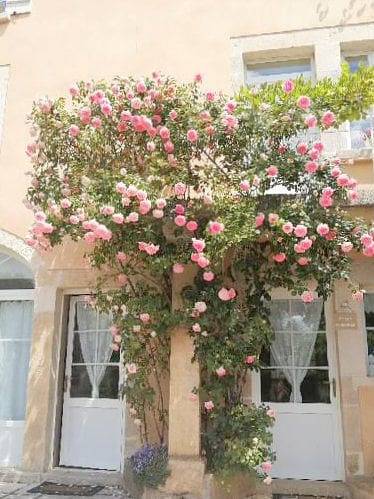 Chambre d’hôte pour 3 personnes, avec jardin - 1