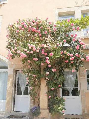 Cottage pour 3 personnes, avec jardin à Buffon