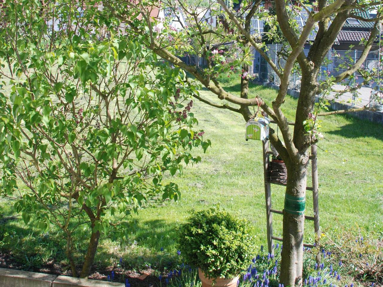 Ganze Ferienwohnung, Ferienwohnung Vogelnest - Ferienwohnung Vogelnest, 50qm, Garten, 1 Schlafzimmer, max. 2 Personen in Teningen, Südschwarzwald