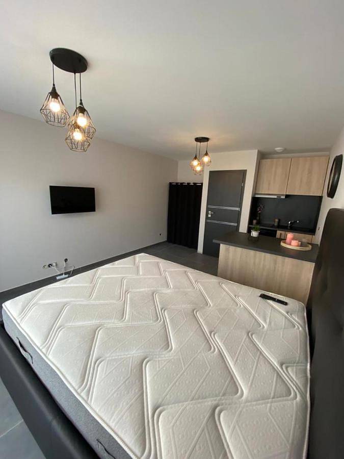 Gîte pour 2 personnes, avec terrasse à La Roche-sur-Foron - 3