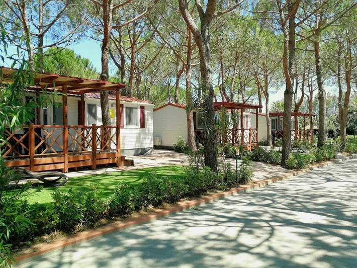 Campeggio per 6 persone, con giardino e piscina nonché idromassaggio - 1