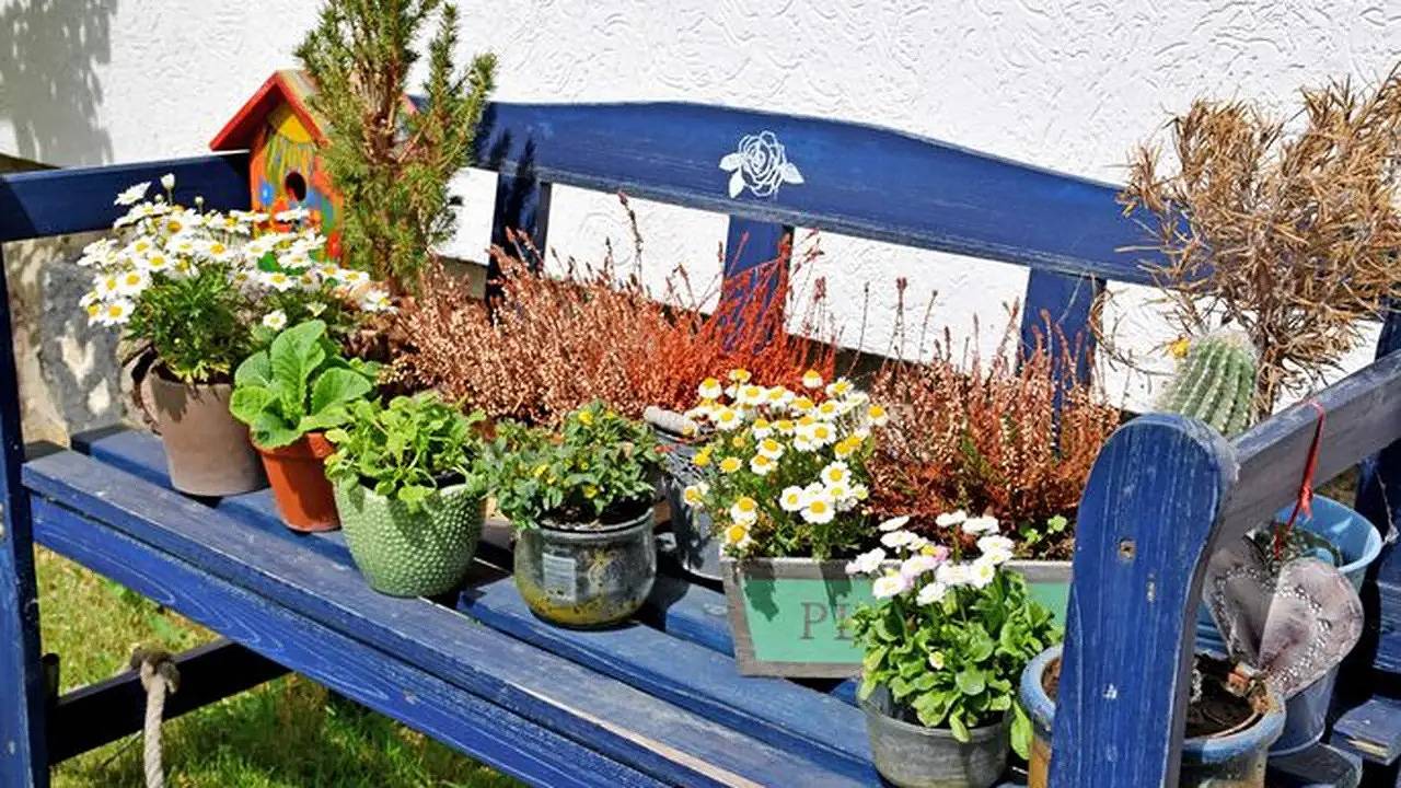 Ganze Ferienwohnung, Ferienwohnung für 3 Personen (50 m²) in Klein Zicker in Klein Zicker, Mönchgut