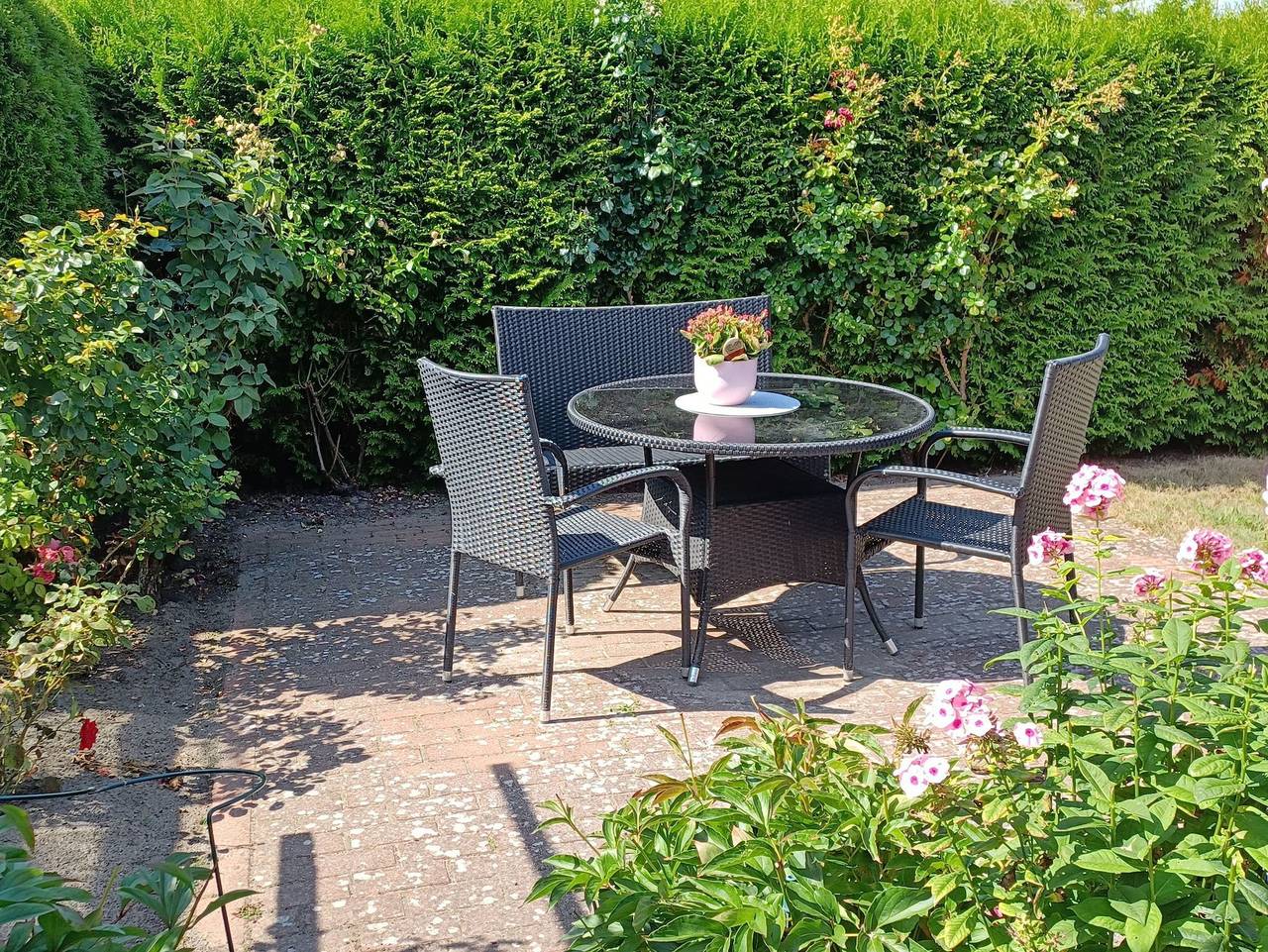 Ferienwohnung in Wustrow ab 117€ pro Nacht