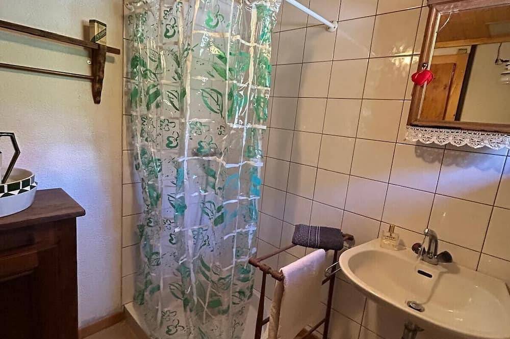 Alpine chalet in Vacheresse, Thonon-les-Bains region