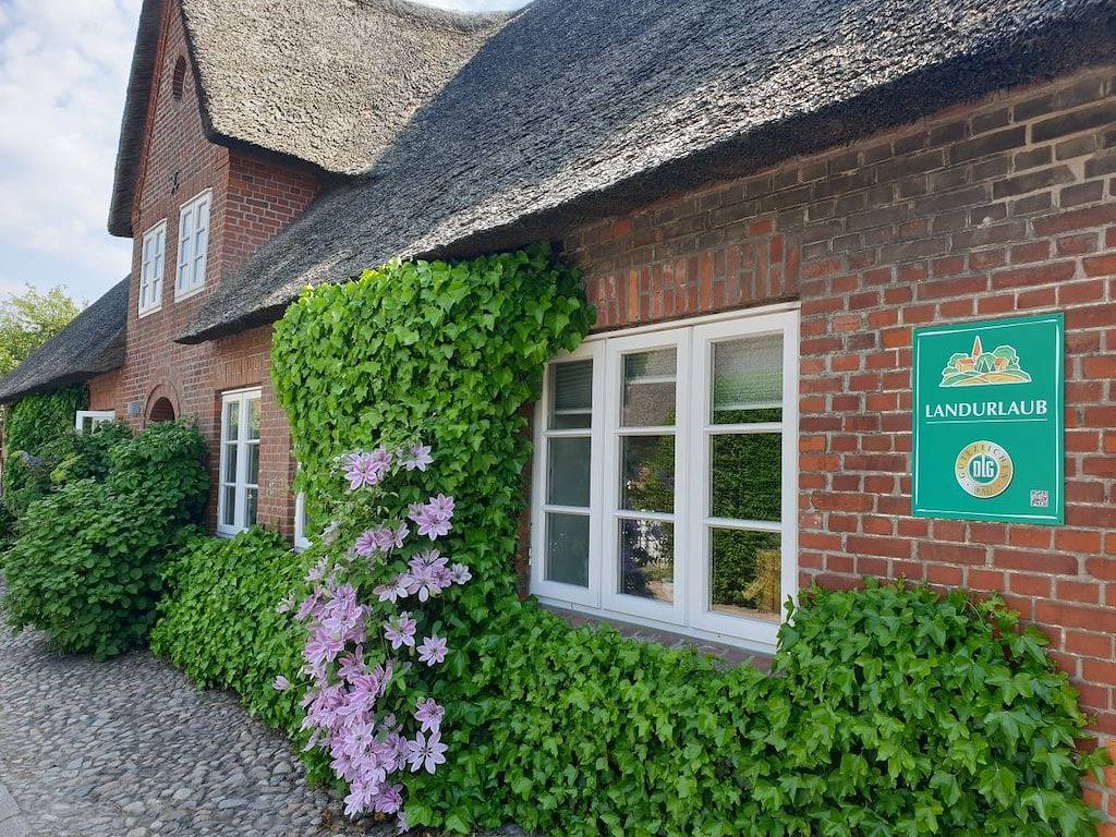 Ferienwohnung mit 1 Schlafzimmer in Oldsum, Föhr