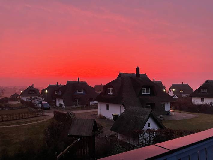 Ferienhaus für 8 Personen, mit Garten und Sauna in Zinnowitz - 4