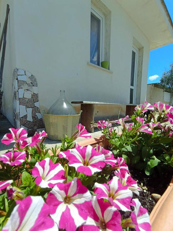 Stanze nel verde in Porto Cesareo, Golfo di Taranto
