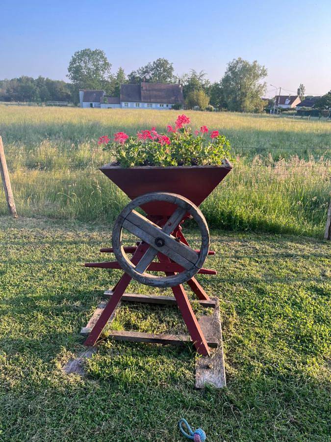 Oh ! Fleurs des champs in Chaumont-sur-Tharonne, Sologne