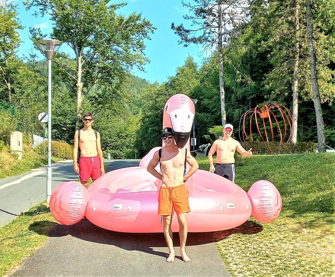 Ganze Wohnung, Appartments am See in Karawanken und Bachergebirge, Sankt Kanzian am Klopeiner See