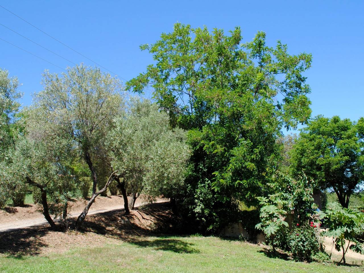 Villa Belle Vue, direkt am Meer, 1-2 Haustiere erlaubt in Cervione, Región de Corte
