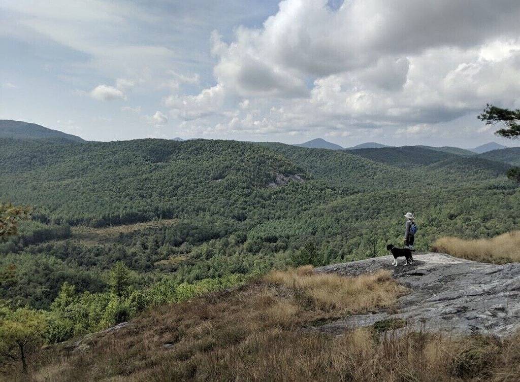 High Speed Fiber Optic Wifi; Tranquil Treehouse on 2.5 Acres; Affordable Luxury in Macon County