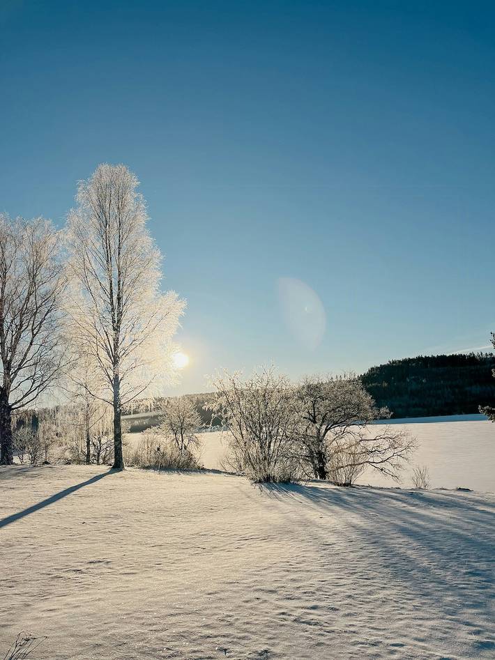 Nyrenoverad stuga vid Rydbosjön in Alingsås region, Västergötland