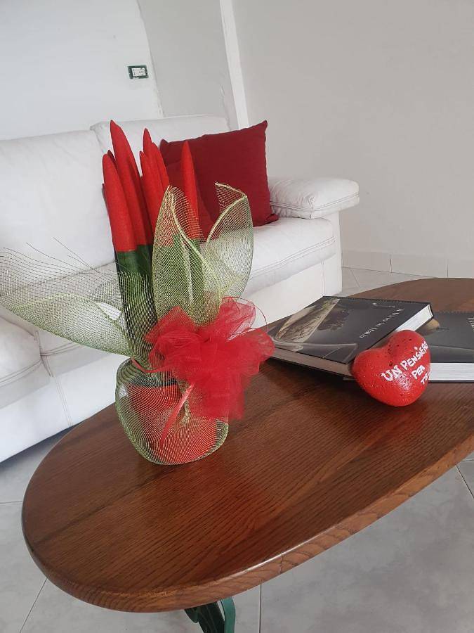 Location de vacances pour 3 personnes, avec terrasse, animaux acceptés dans Ischia - 2