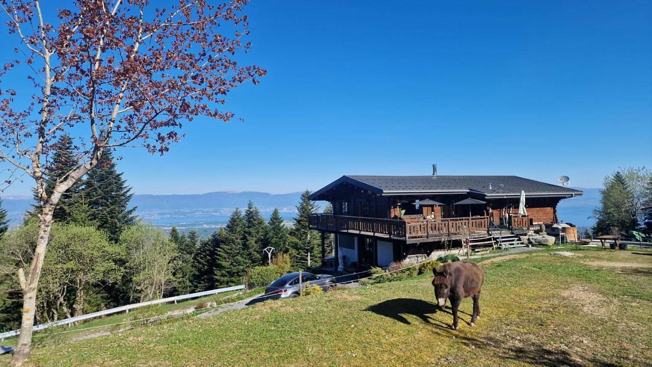 Appartement entier, Appartement Les Montagnes de Saxel in Saxel, Région de Thonon-les-Bains