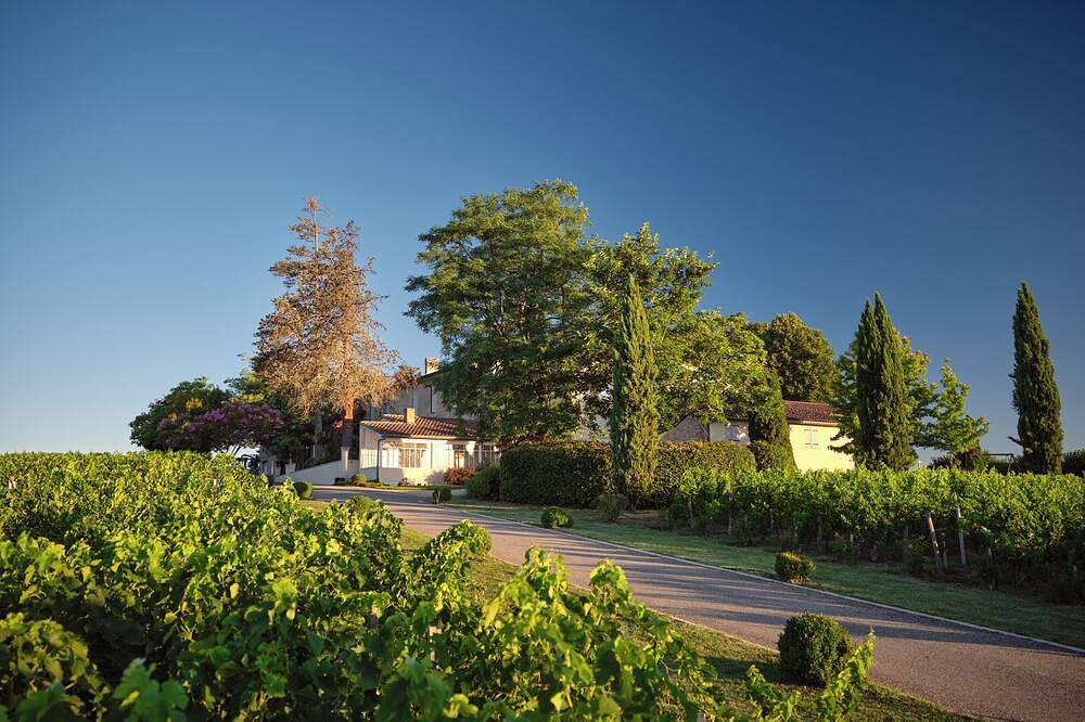 Renovated Stone House with Garden in the Heart of the Saint-Émilion Vineyards in Montagne, Libourne e dintorni