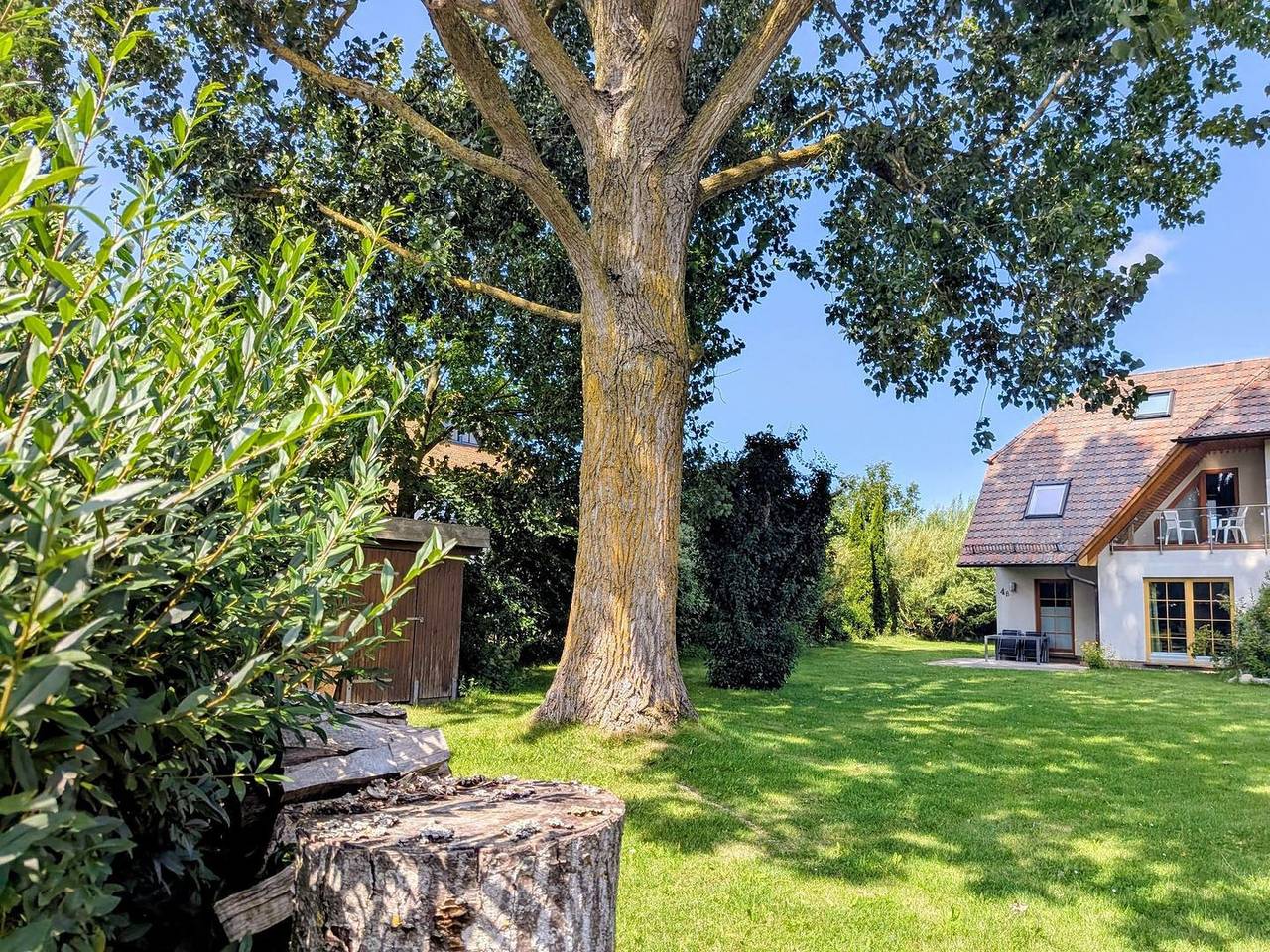 Ferienhaus in Darß ab 140€ pro Nacht