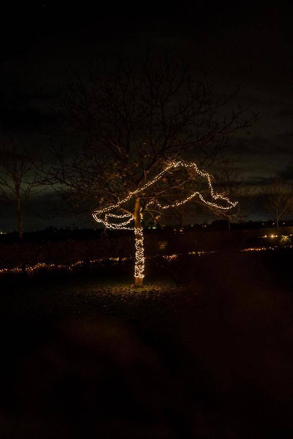 Ferienhaus für 2 Personen, mit Ausblick und Garten, mit Haustier in Belgische Küste
