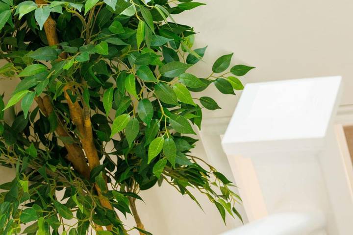 Location de vacances pour 4 personnes à Kilkenny - 3