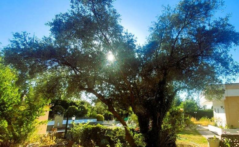 Casa rural para 14 personas, con jardín además de piscina y vistas, Se admiten mascotas en La Loma - 4