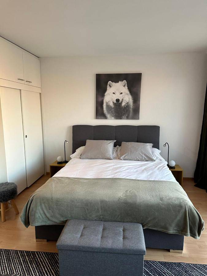 Gîte pour 2 personnes, avec balcon ainsi que piscine et vue, animaux acceptés à Fribourg - 4