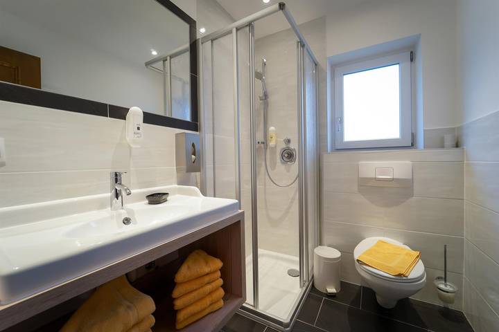 Ganze Ferienwohnung, Appartement Nr. 2, Bad, Wc, 1 Schlafraum Neu in Hintertuxer Gletscher, Hintertux
