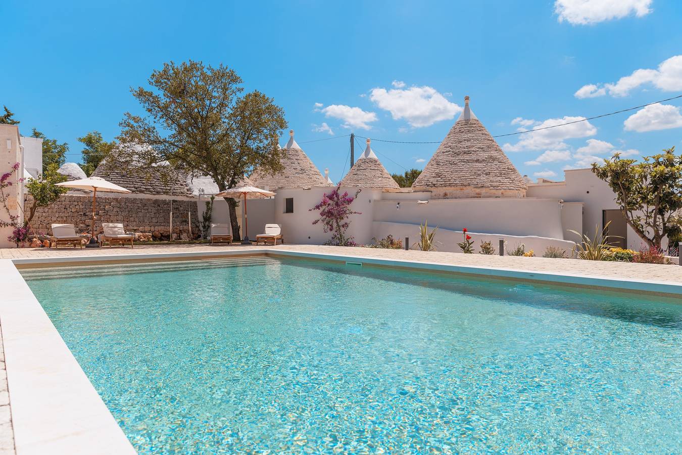 Trulli Zaccano : Borgo de trulli avec Spa, piscine 12x6 et charme rural in Cisternino, Salento