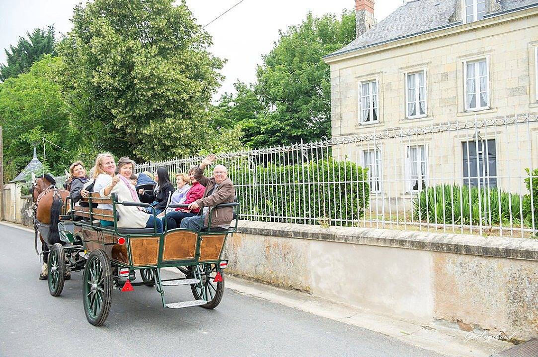 Ensemble de Gites - En Rou Libre in Rou-Marson, Vallée de la Loire