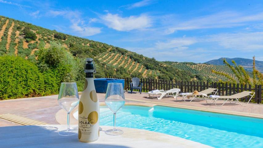 Chalet para 20 personas, con balcón/terraza y jacuzzi en Provincia de Granada - 3