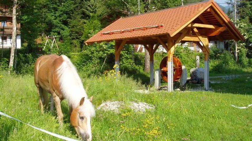Ferienwohnung für 6 Personen in Sankt Ulrich am Pillersee - 2