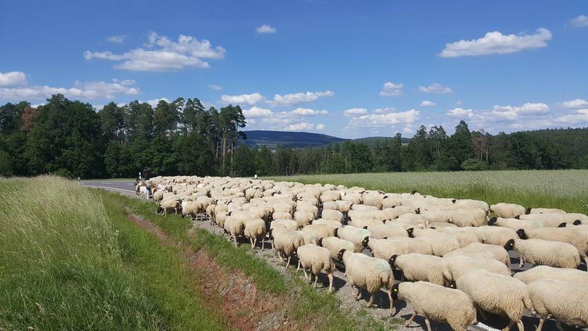 Bauernhof für 2 Personen an der Rhön - 2