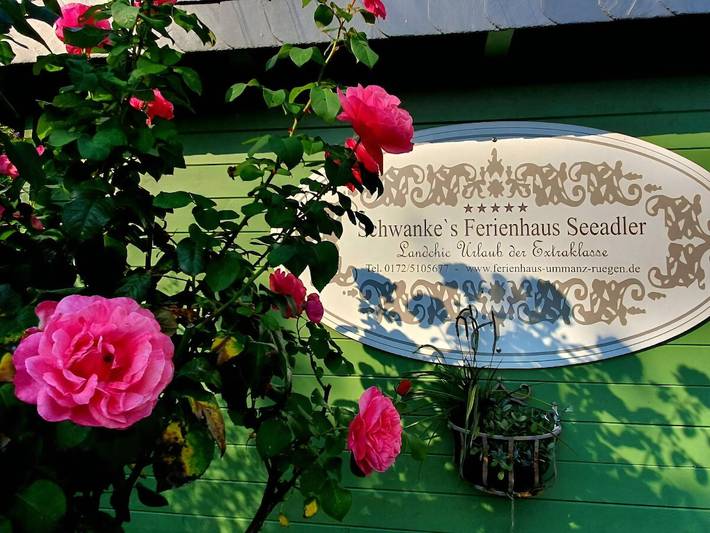 Ferienhaus für 6 Personen, mit Sauna und Garten in Ummanz - 2