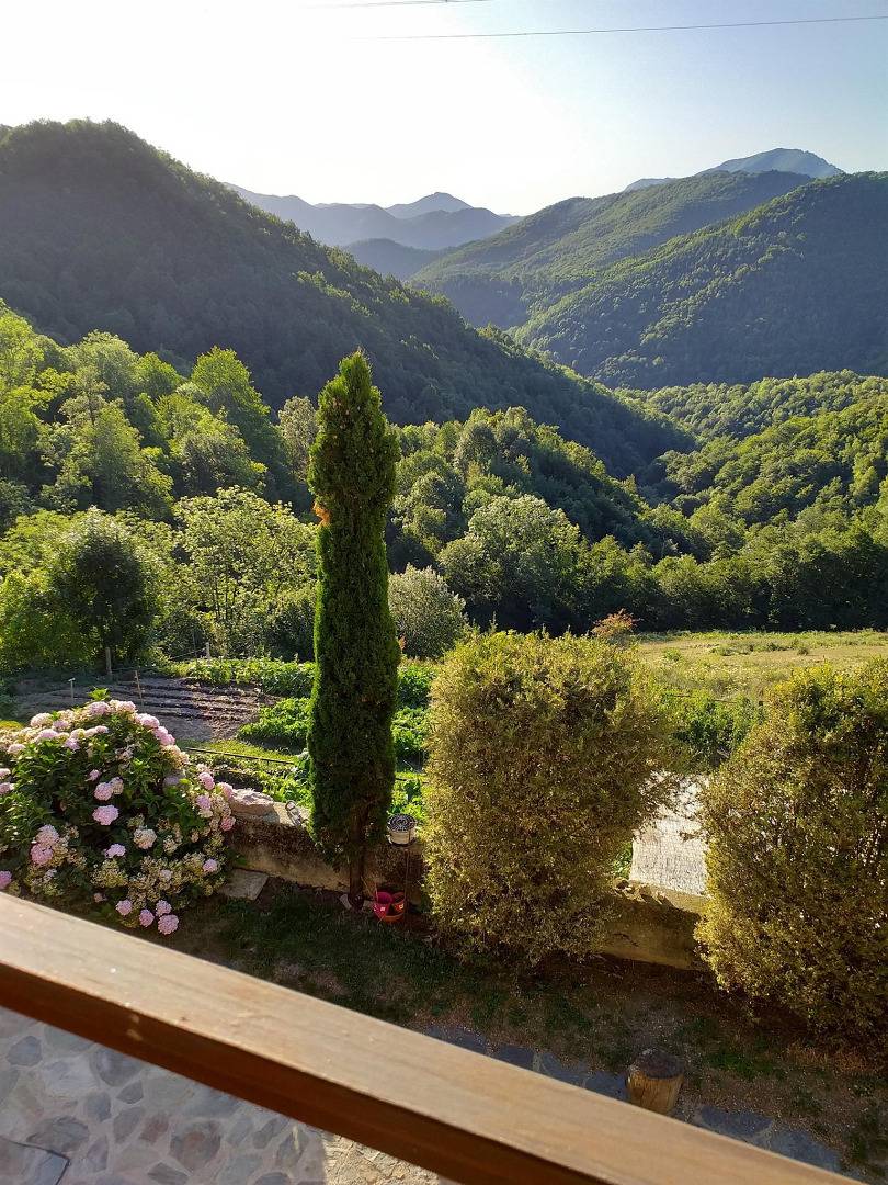 Amerique du sud in Prats-de-Mollo-la-Preste, Céret und Umgebung