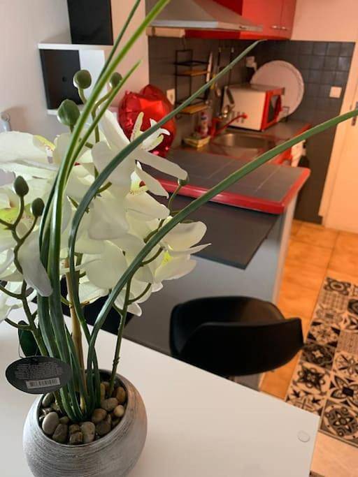 Appartement entier, One-Bedroom Apartment in Morangis, Essonne