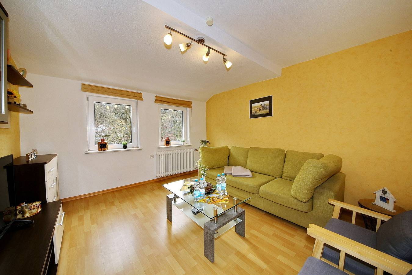 Ganze Ferienwohnung, Pension Haus Sonneck in Wildemann, Harzvorland