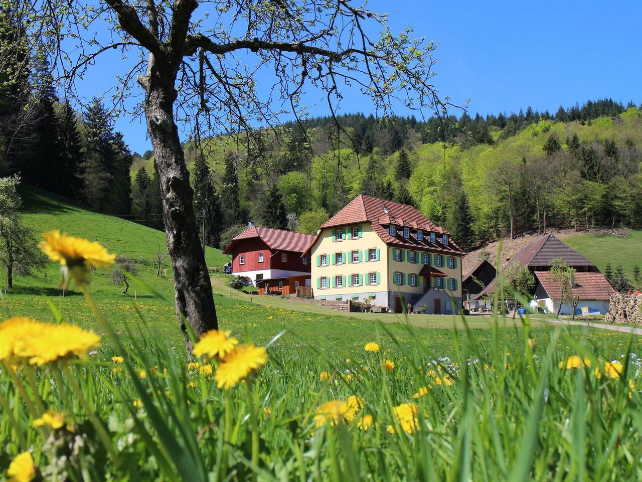 Ganze Ferienwohnung, Offenburger Hof - Ferienwohnung Marlena in Schuttertal, Mittlerer Schwarzwald