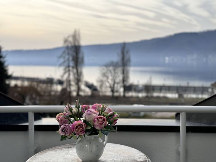 Ferienwohnung für 4 Personen, mit Balkon und Seeblick sowie Ausblick in Bodman-Ludwigshafen - 2