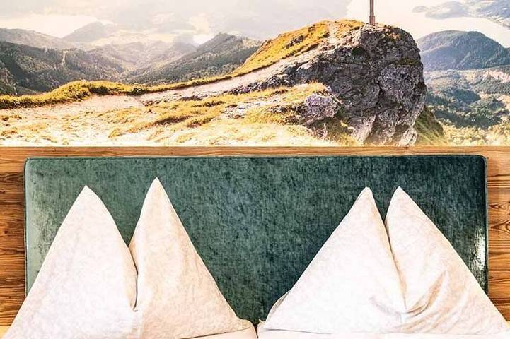 Ganze Wohnung, Haus Bader - Ferienwohnung Berg in Steinbach am Attersee, Bezirk Vöcklabruck