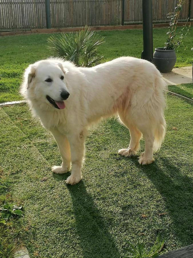 Location de vacances pour 2 personnes, avec jardin à Mouchamps - 3