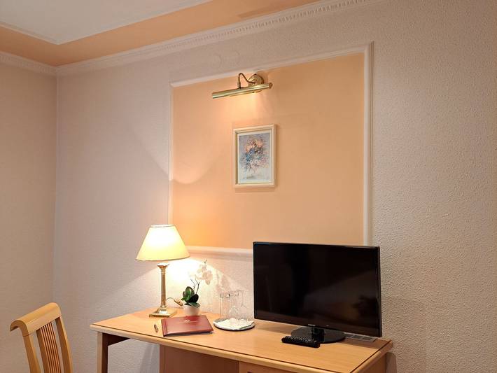 Schedlers Löwenhotel Garni*** - Einzelzimmer Standart in Bregenzerwald (Vorarlberg), Alberschwende